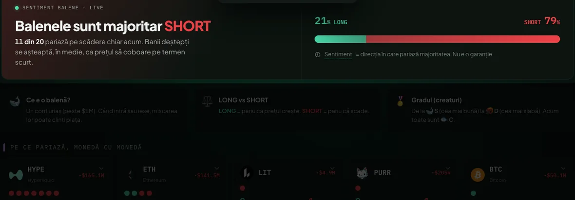Whale Tracker, captură reală din platformă